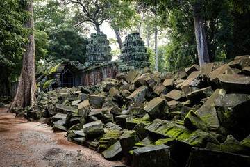 Fototapeta premium Outside view details and huge tree roots at Ta Prom temple, Siem Reap, Cambodia