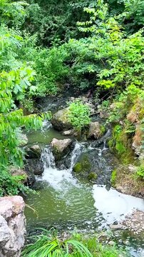Rocky Cliffs, Hills and Forest in Divoka Sarka Nature Reserve Prague