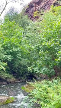 Rocky Cliffs, Hills and Forest in Divoka Sarka Nature Reserve Prague