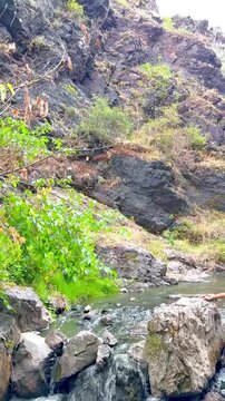 Rocky Cliffs, Hills and Forest in Divoka Sarka Nature Reserve Prague