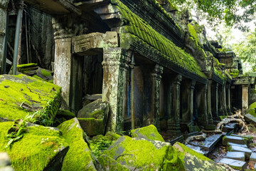 Fototapeta premium Outside view details and huge tree roots at Ta Prom temple, Siem Reap, Cambodia