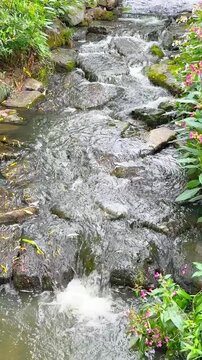 Rocky Mountain Stream in Divoka Sarka Nature Reserve Prague