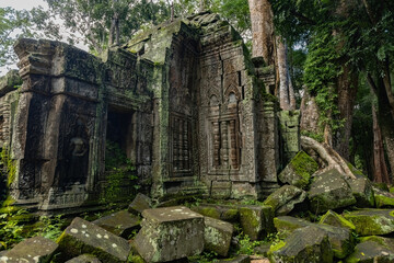 Fototapeta premium Outside view details and huge tree roots at Ta Prom temple, Siem Reap, Cambodia