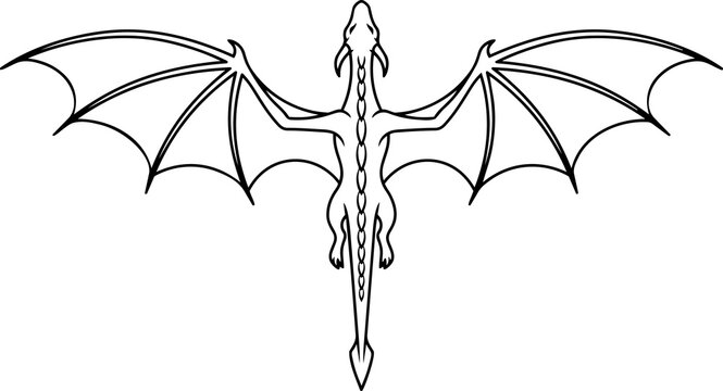 Vector illustration featuring an outline drawing of a flying dragon viewed from above, with spread wings and a long tail, isolated on a white background.