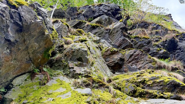 Rocky Cliffs, Hills and Forest in Divoka Sarka Nature Reserve Prague