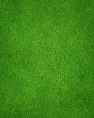 Fototapete Grün Top view of fresh green grass lawn texture, seamless natural field background for sports pitches, landscaping, parks, outdoor design and digital backdrops.  © Vector & Background