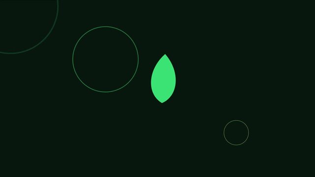 Minimalist green leaf animation with floating circles on dark 4k background, motion green nature