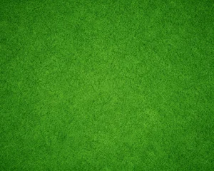 Fotobehang Groen Top view of fresh green grass lawn texture, seamless natural field background for sports pitches, landscaping, parks, outdoor design and digital backdrops.  © Vector & Background