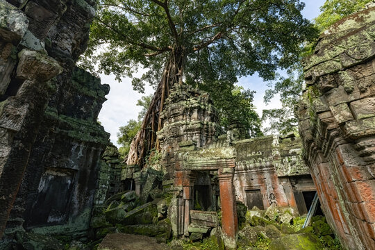 Ancient stone temple details of Ta Prohm Temple in Cambodia