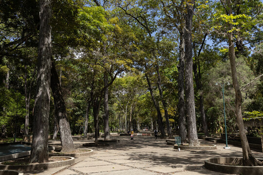 Caracas, Venezuela. Los Caobos Park. City Center