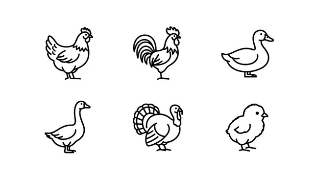 Poultry Farm Animal Line Icon Set