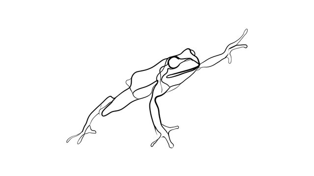 Line art frog sketch on white background.