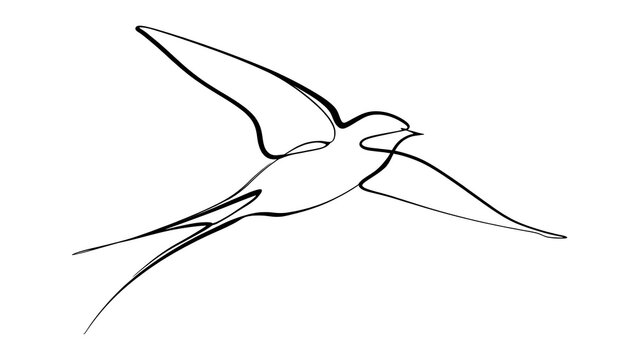 Minimalist bird drawing on white background.