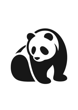 panda bear vactor illustration