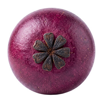 Bottom view of a fresh tropical purple mangosteen fruit showing its characteristic flower-like stigma pattern and deep reddish-purple rind, isolated on transparent background