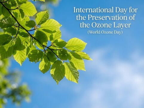 International day for the preservation of the ozone layer with green leaves and blue sky
