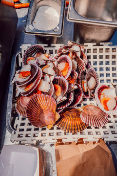 Fresh raw scallops in shells stacked at outdoor food stall