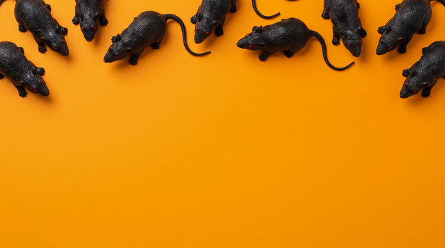 Halloween orange background with creepy black rats arranged along the top border, spacious copy space for scary Halloween party decoration, horror backdrop and eerie seasonal design