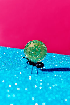 a single toy ant hauls a bitcoin, captured using shutter drag