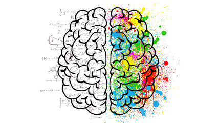 Conceptual illustration of human brain with left side in sketch and right side in colorful watercolor splash mental health creativity intelligence psychology cognition thinking abstract © Adiba