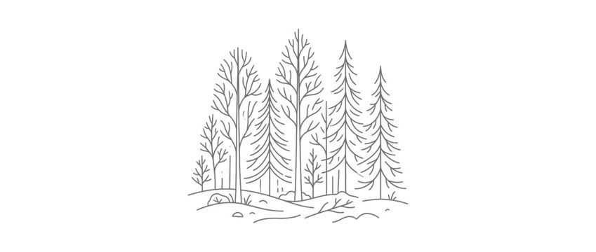 Minimalist forest illustration, line art trees on transparent background