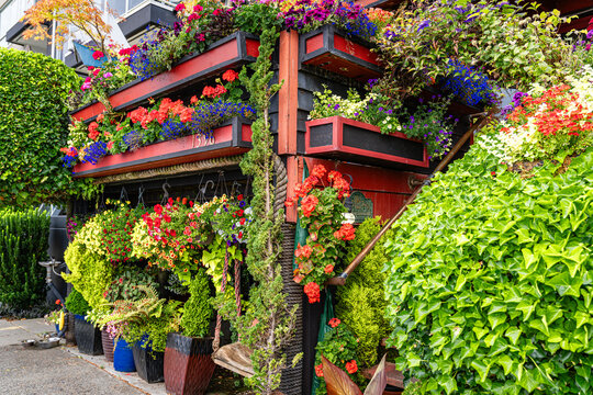 West Seattle Flower House 5