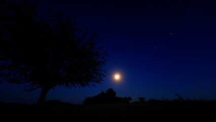 Moon on a twilight sky with stars, planets and landscape mountain silhouettes. © astrosystem