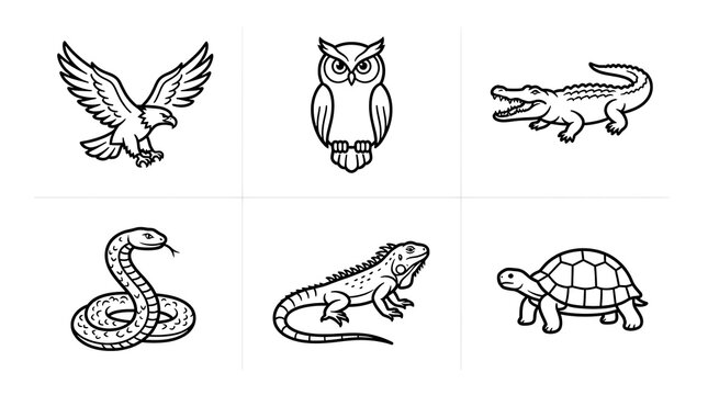 Animal Line Art Icons Set Eagle Owl Alligator Snake Iguana Turtle
