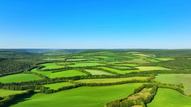 High aerial panorama of terraced green farmland, layered crop fields, hedgerow borders, rolling countryside, clear blue sky, sunlit summer landscape across broad horizon