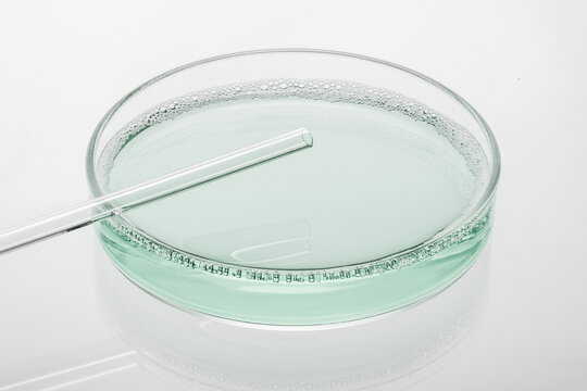 Petri Dish with Glass Stirring Rod and Light Green Liquid on Light Background with Copy Space