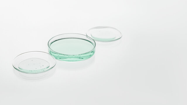 Light Green Cosmetic Gel in Glass Petri Dishes on Light Background with Large Copy Space