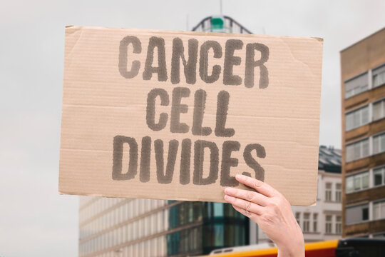 "Cancer Cell Divides" Visualize the proliferation of a malignant cell. MITOSIS. PROLIFERATION. CYCLE. DIVISION. REPLICATION.