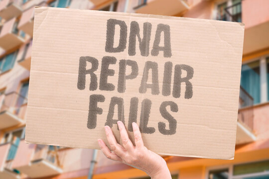 "DNA Repair Fails" Demonstrate a defect in fixing genetic damage. DEFECT. MUTATION. INSTABILITY. DAMAGE. ACCUMULATION.