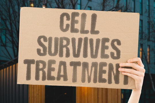 "Cell Survives Treatment" Understand how some tumor cells withstand therapy. SURVIVAL. PERSISTENCE. RESIDUAL. DORMANCY. TOLERANCE.