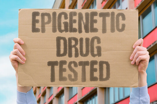 "Epigenetic Drug Tested" Investigate compounds that modify gene expression without changing DNA. EPIGENETIC. METHYLATION. ACETYLATION. CHROMATIN. MODIFIER.
