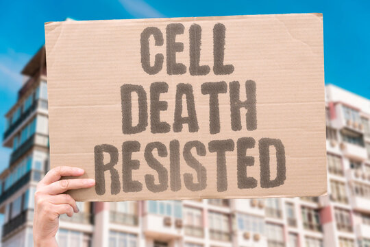 "Cell Death Resisted" Explore why some breast cancers do not respond. RESISTANCE. SURVIVAL. DEFECT. EVASION. THERAPY.