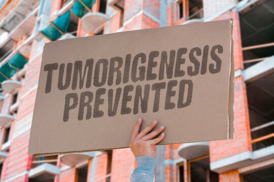 "Tumorigenesis Prevented" Intercept the development of cancer at an early stage. PREVENTION. INTERCEPTION. CARCINOGENESIS. INITIATION. BLOCKADE.