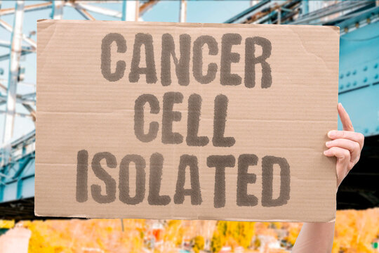 "Cancer Cell Isolated" Separate malignant cells from a mixed sample. SEPARATION. PURIFICATION. ENRICHMENT. SINGLE. IDENTIFICATION.