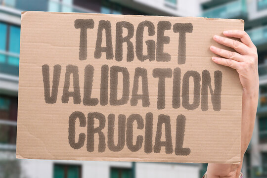 "Target Validation Crucial" Confirm the chosen target is clinically relevant. RELEVANCE. ESSENTIALITY. DEPENDENCE. EVIDENCE. RATIONALE.