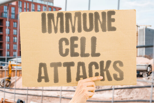 "Immune Cell Attacks" Show the immune system eliminating a tumor. CYTOTOXICITY. TCELL. INFILTRATION. RECOGNITION. CLEARANCE.
