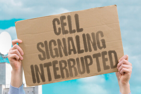 "Cell Signaling Interrupted" Disrupt communication pathways inside the cancer cell. KINASE. INHIBITOR. CASCADE. PHOSPHORYLATION. TRANSCRIPTION.