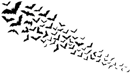 Fototapeta premium A large swarm of flying black bats isolated on a white background perfect for spooky halloween party decorations and festive holiday graphic designs