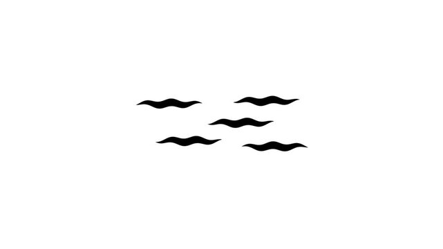 Mustache Icon Set, Beard Style Collection, Facial Hair Symbol, Classic Moustache Shapes, Barber Shop Design, Grooming  animation .