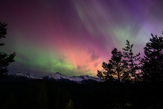 Vibrant purple and green Aurora Borealis illuminating the night sky over the snow-capped Tantalus Range mountains from Tantalus Lookout in Squamish, British Columbia.