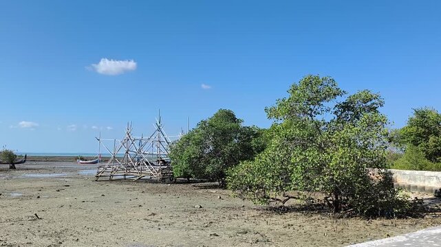 Mangrove Trees and Wooden Fishing Structure on Coastal Muddy Shore Under Bright Blue Sky