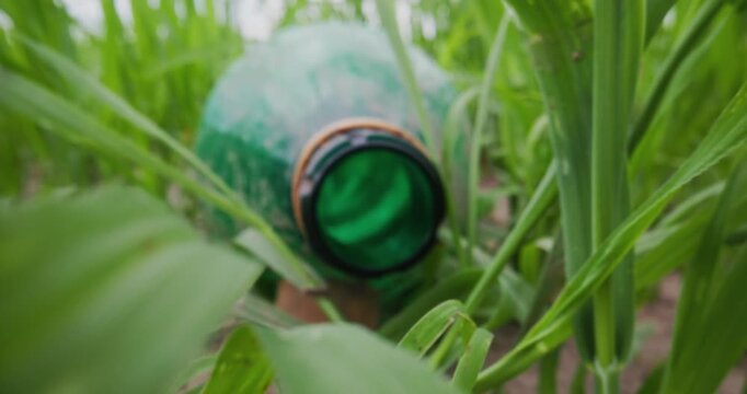 Concept of microplastic pollution, discarded green glass bottle lying among tall grass in field at low angle sliding forward through vegetation.