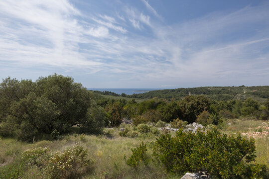 Scenic panoramic view of green Mediterranean hills and distant sea near Vela Luka on Korcula island, Croatia