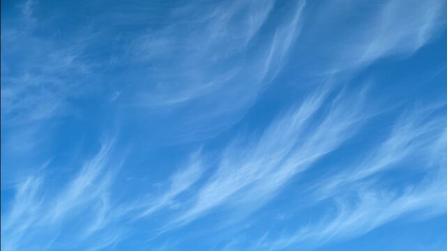 Cirrus cloud floating in clear blue sky. Wispy meteorological formations on bright sunny day. Nature atmosphere background for weather forecast. High altitude climate and air concept.
