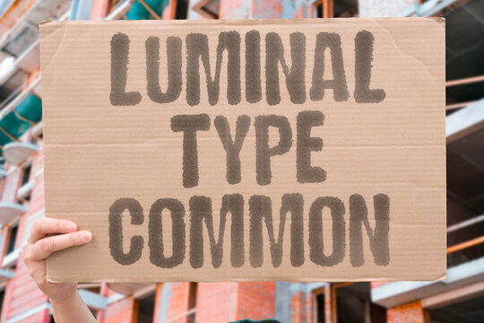 "Luminal Type Common" ER-positive tumors are the most frequent subtype. LUMINAL. SUBTYPE. COMMON. ENDOCRINE. PROGNOSIS.