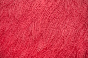 Fototapeta premium Bright red fur texture covers a surface in an artistic display of color and pattern during daylight